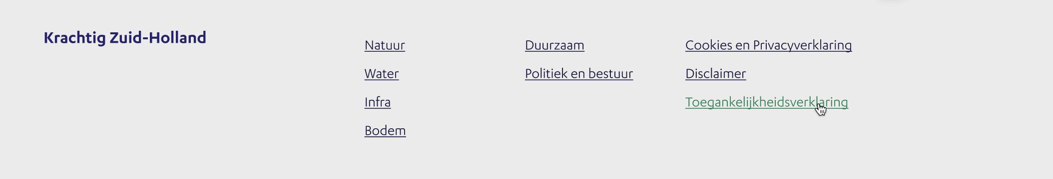 Footer PZH website