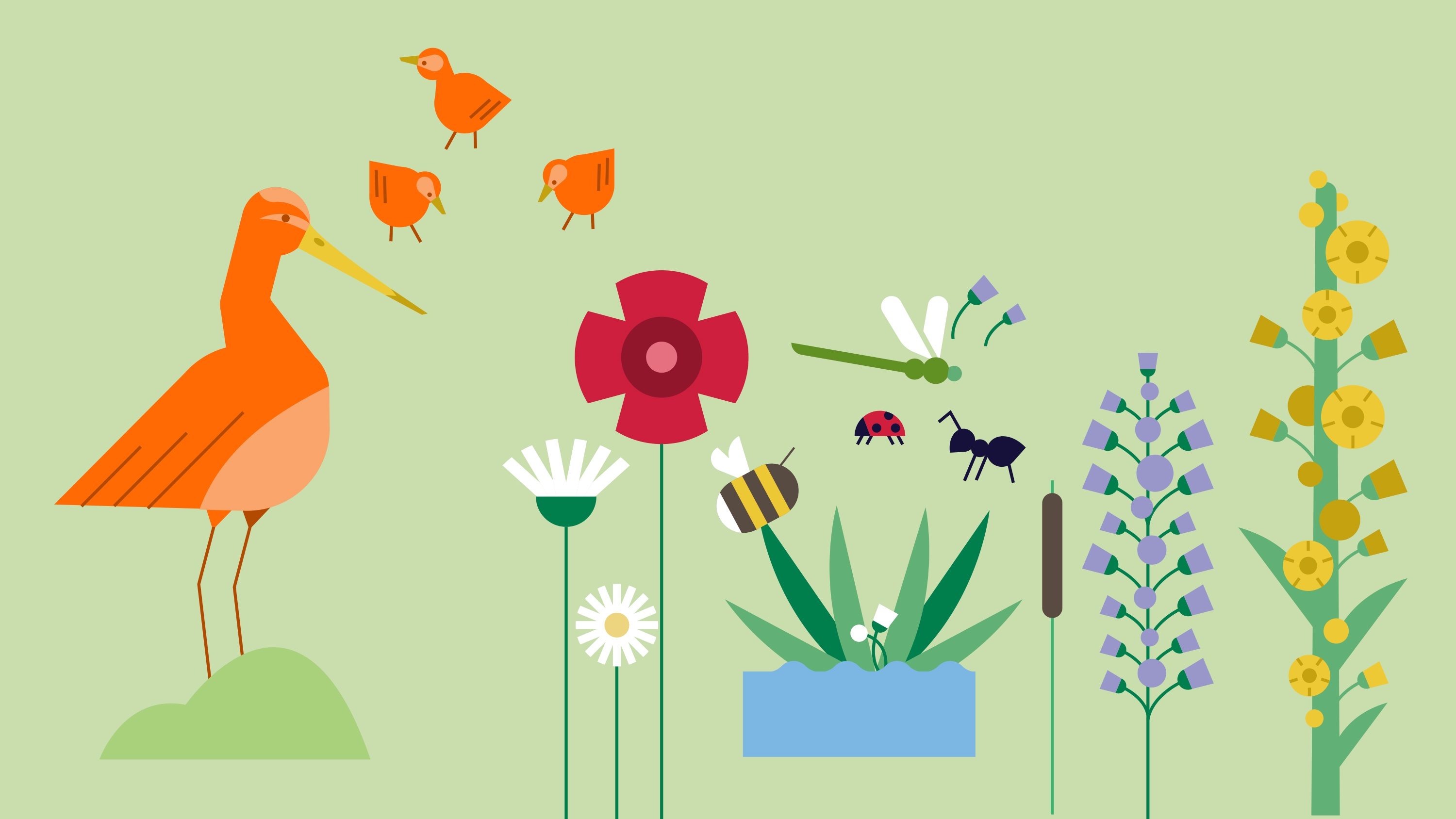 Illustratie natuur